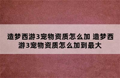 造梦西游3宠物资质怎么加 造梦西游3宠物资质怎么加到最大